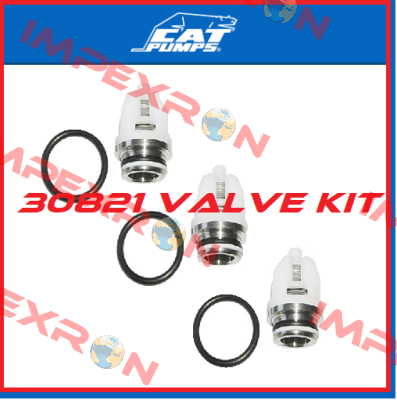 30821 Cat Pumps