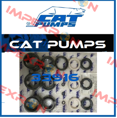 33916 Cat Pumps