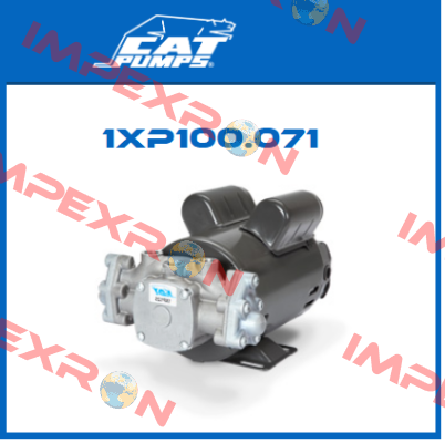 1XP100.071 Cat Pumps