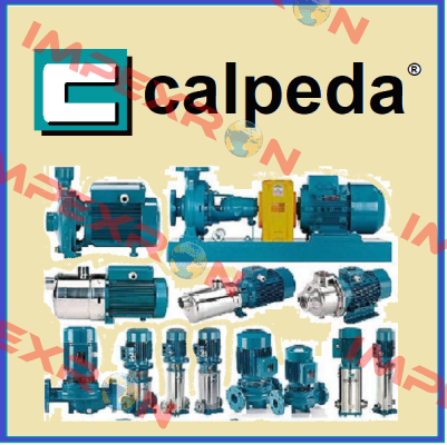 60800041000 NM4 25/200 CE  Calpeda