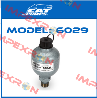 Model: 6029 Cat Pumps