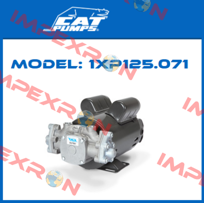1XP125.071 Cat Pumps