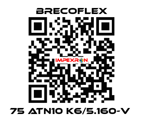 75 ATN10 K6/5.160-V  Brecoflex