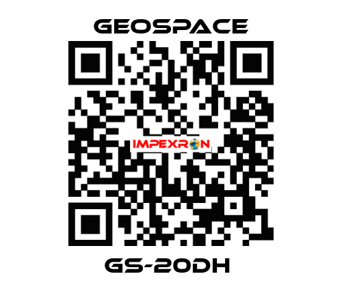 GS-20DH  GeoSpace