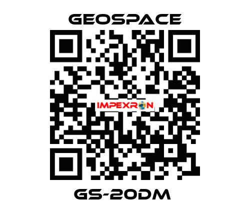 GS-20DM  GeoSpace