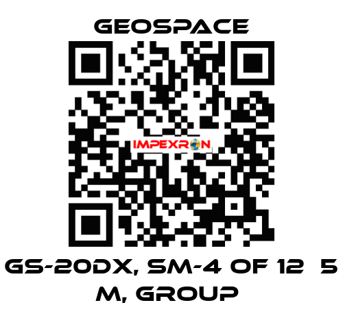 GS-20DX, SM-4 OF 12Х5 M, GROUP  GeoSpace