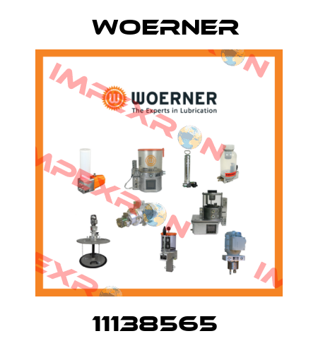 11138565  Woerner