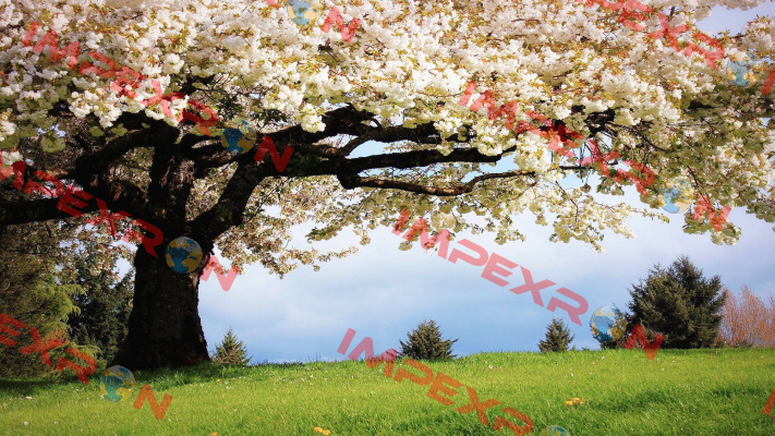 ax-49 De-Test DENEME