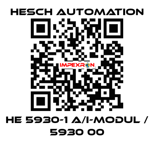HE 5930-1 A/I-Modul / 5930 00 Hesch Automation