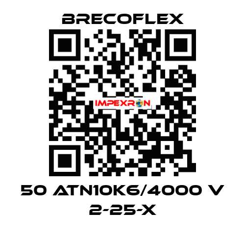 50 ATN10K6/4000 V 2-25-X Brecoflex