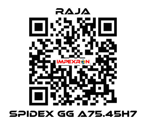 SPIDEX GG A75.45H7 Raja
