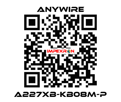 A227XB-KB08M-P Anywire