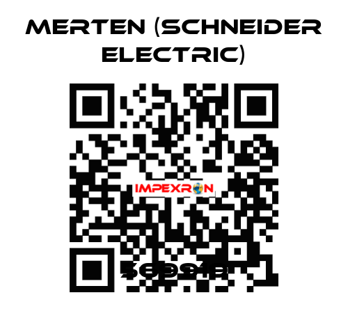569919 Merten (Schneider Electric)
