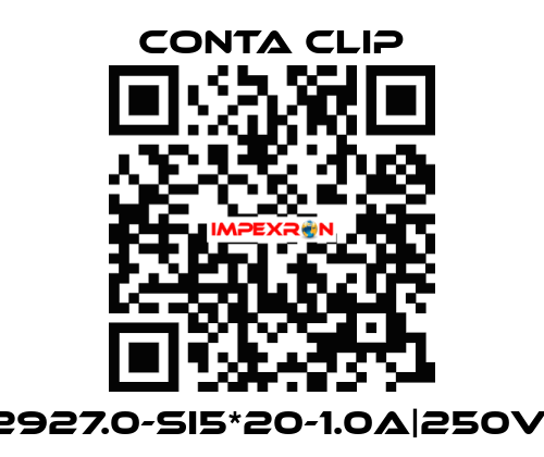 2927.0-SI5*20-1.0A|250V| Conta Clip