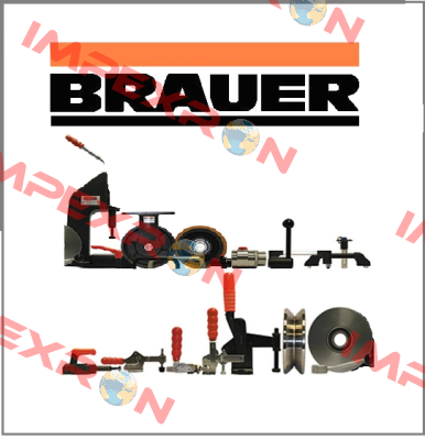 85100000001100  (AA31/04/01) Brauer