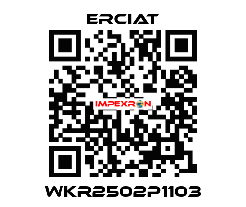 WKR2502P1103 ERCIAT