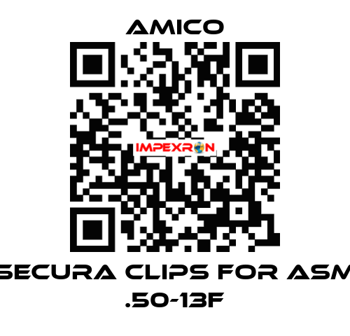 Secura Clips for ASM .50-13F AMICO
