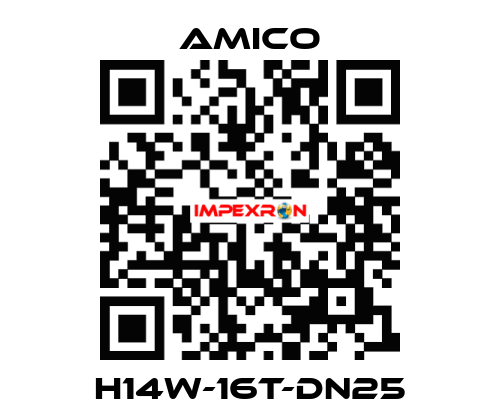 H14W-16T-DN25 AMICO