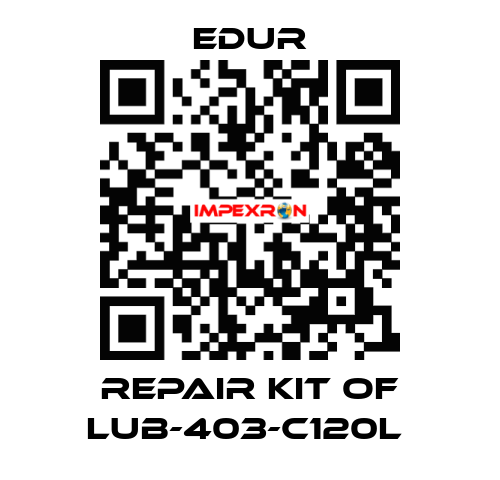 REPAIR KIT OF LUB-403-C120L  Edur