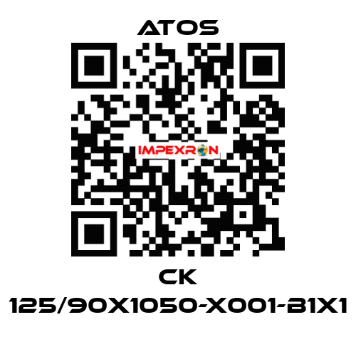 CK 125/90X1050-X001-B1X1 Atos