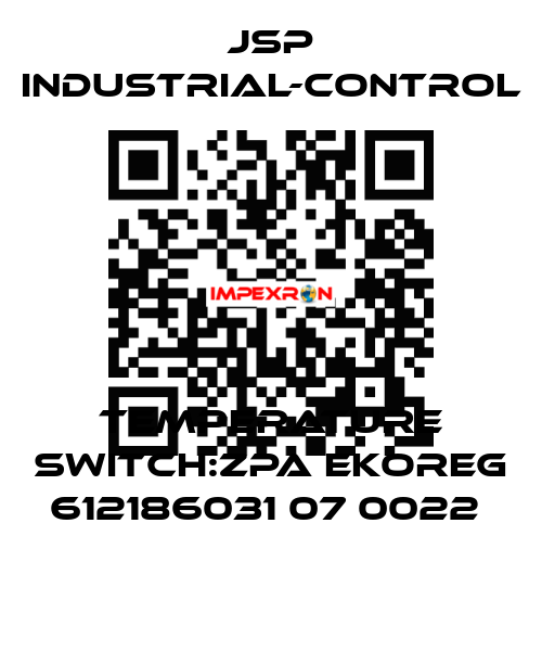 TEMPERATURE SWITCH:ZPA EKOREG 612186031 07 0022  JSP Industrial-Control