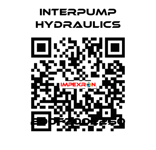 200FZ0022S0 Interpump hydraulics