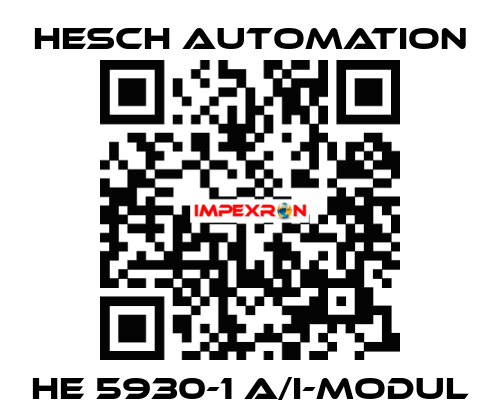 HE 5930-1 A/I-Modul Hesch Automation