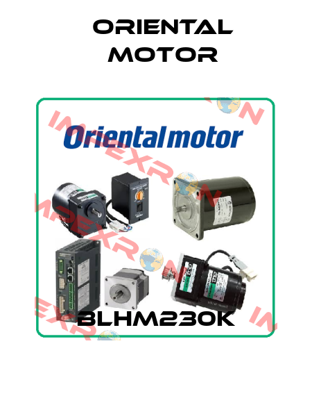 BLHM230K Oriental Motor