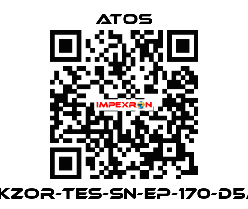 DKZOR-TES-SN-EP-170-D5/F Atos