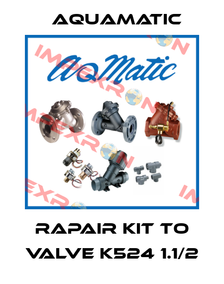 Rapair Kit to valve K524 1.1/2 AquaMatic