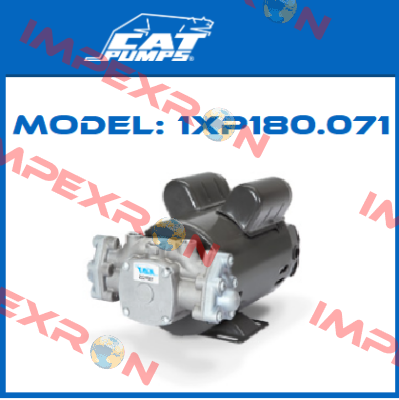 Model: 1XP180.071 Cat Pumps