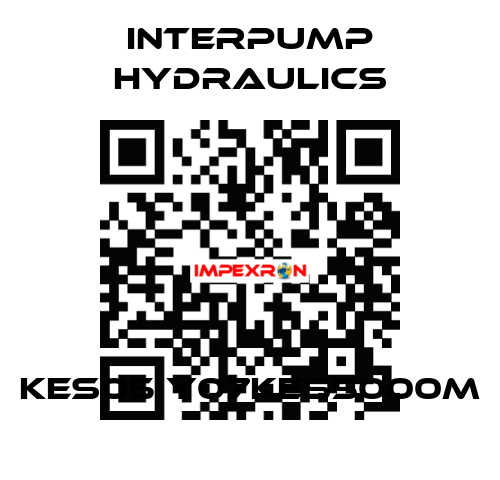 KES05 Y07KES5000M Interpump hydraulics