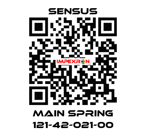 Main spring 121-42-021-00 Sensus
