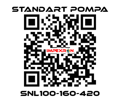 SNL100-160-420 STANDART POMPA