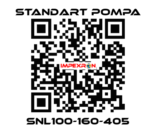 SNL100-160-405 STANDART POMPA