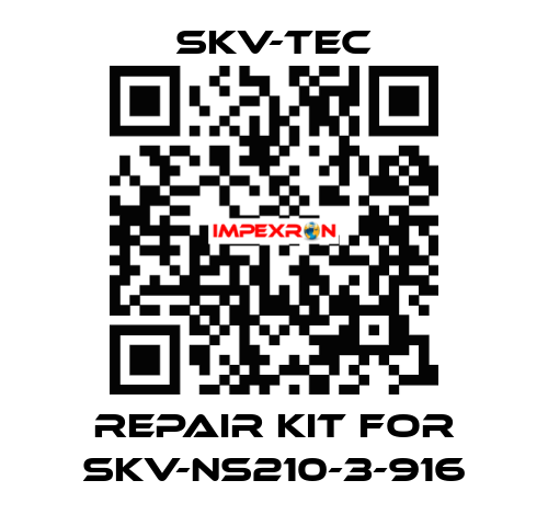 repair kit for SKV-NS210-3-916 SKV-tec