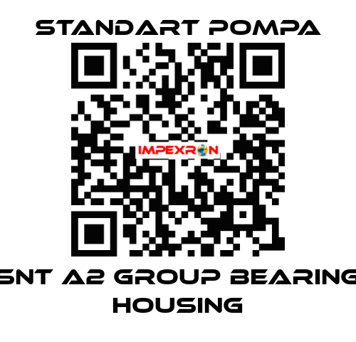 SNT A2 GROUP BEARING HOUSING STANDART POMPA