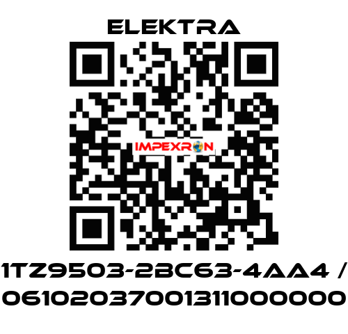 1TZ9503-2BC63-4AA4 / 06102037001311000000 ELEKTRA