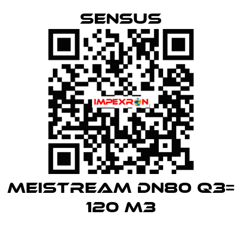 Meistream DN80 Q3= 120 m3 Sensus