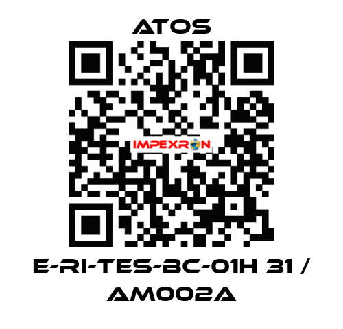 E-RI-TES-BC-01H 31 / AM002A Atos