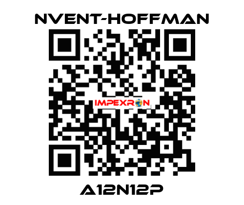 A12N12P nVent-Hoffman