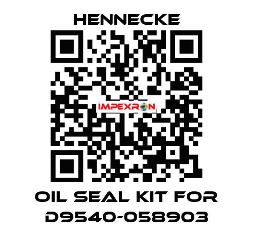 oil seal kit for D9540-058903 Hennecke