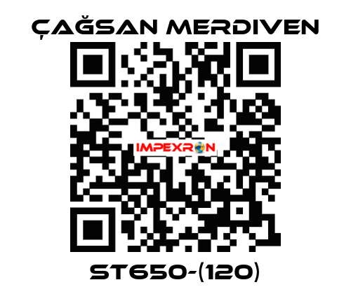 ST650-(120) Çağsan Merdiven
