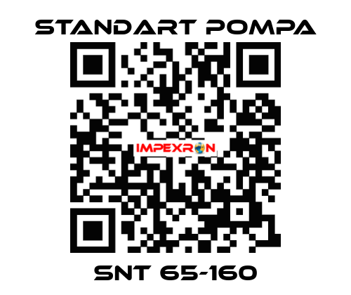 SNT 65-160 STANDART POMPA