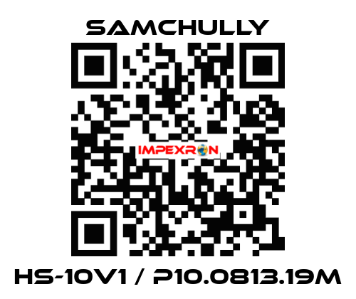 HS-10V1 / P10.0813.19M Samchully