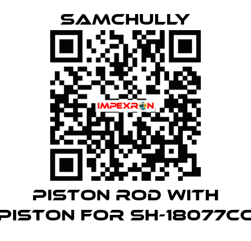 Piston rod with piston for SH-18077CC Samchully