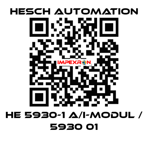 HE 5930-1 A/I-Modul / 5930 01 Hesch Automation