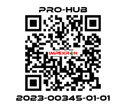2023-00345-01-01 Pro-Hub