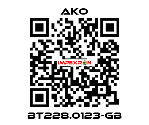 BT228.0123-GB AKO