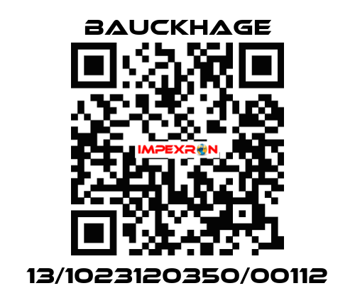 13/1023120350/00112 Bauckhage